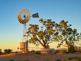 Edeowie Homestead Bore and Windmill