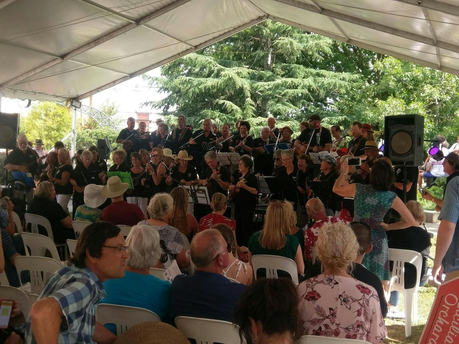 Image for The Blue Mountains Ukulele Festival