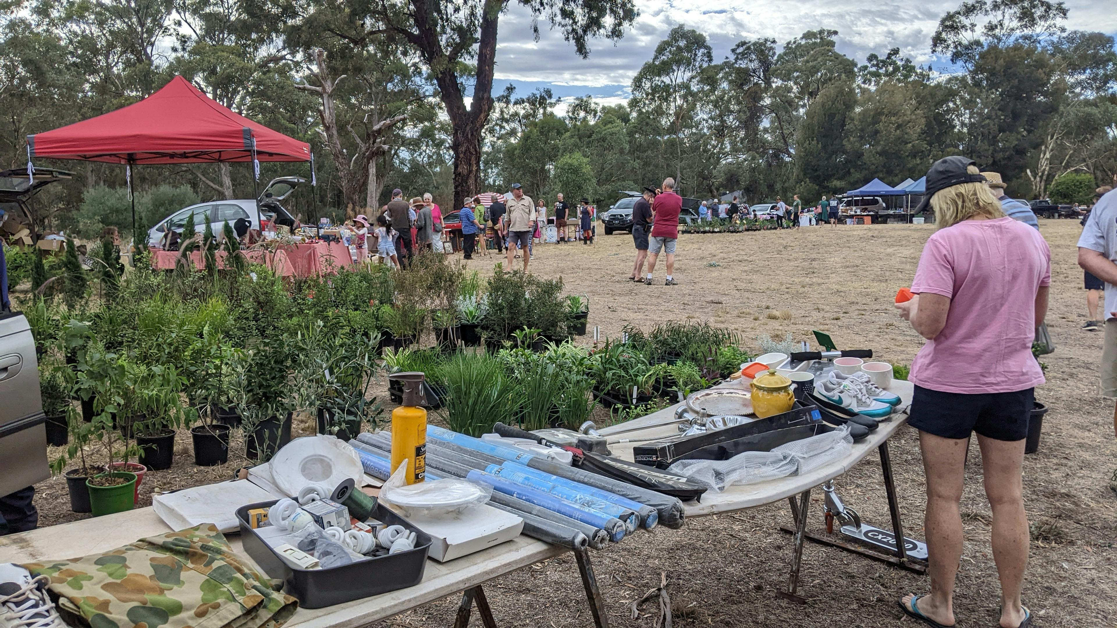 People browsing at an outdoor market stall with plants for sale