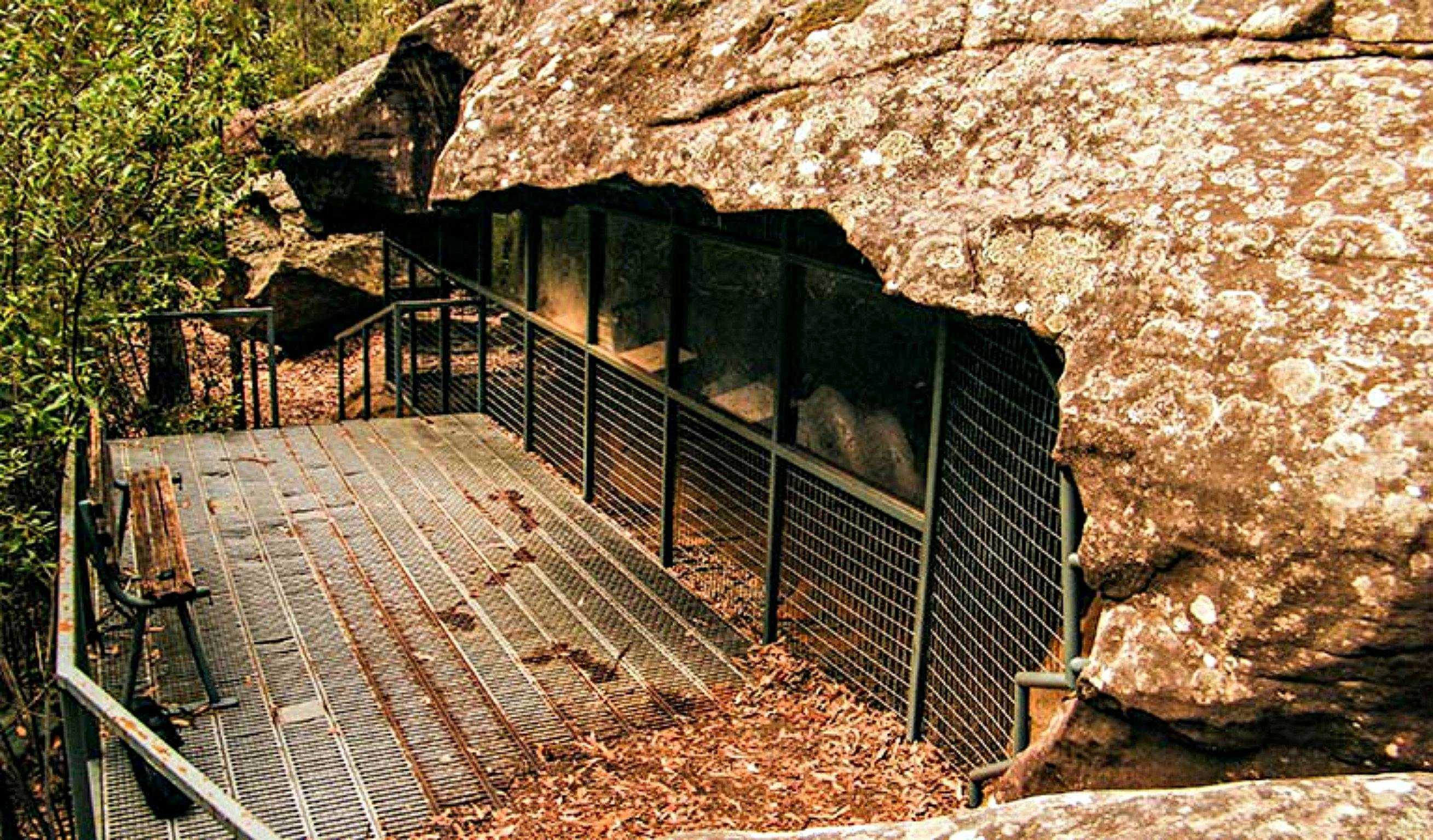 Red Hands Cave Walking Track - Blue Mountains National Park