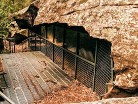 Red Hands Cave Walking Track - Blue Mountains National Park