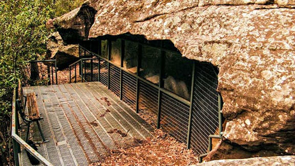 Red Hands Cave Walking Track - Blue Mountains National Park