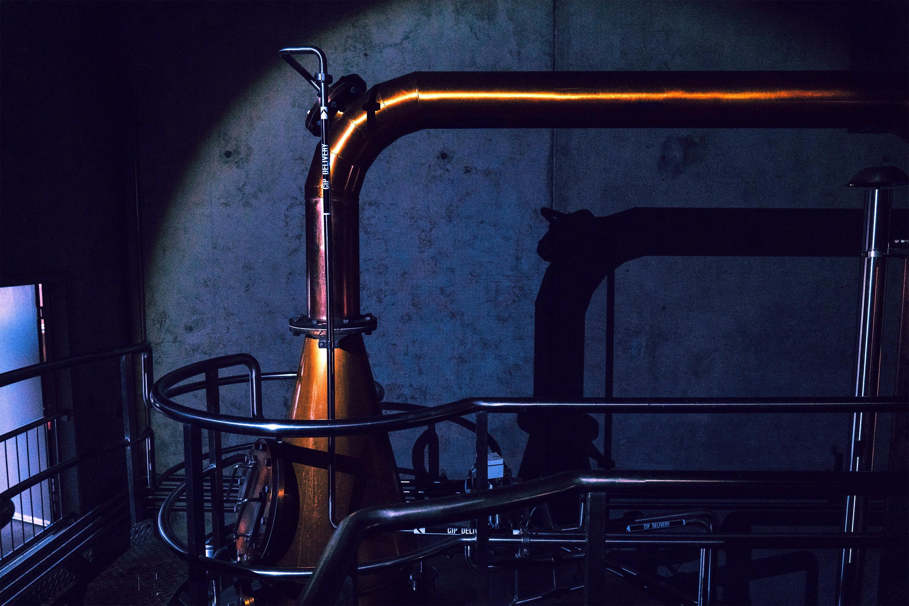 Behind the scenes at Hellyers Road