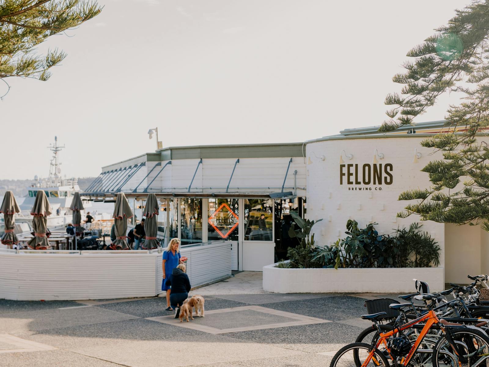 Felons Brewing Co Manly