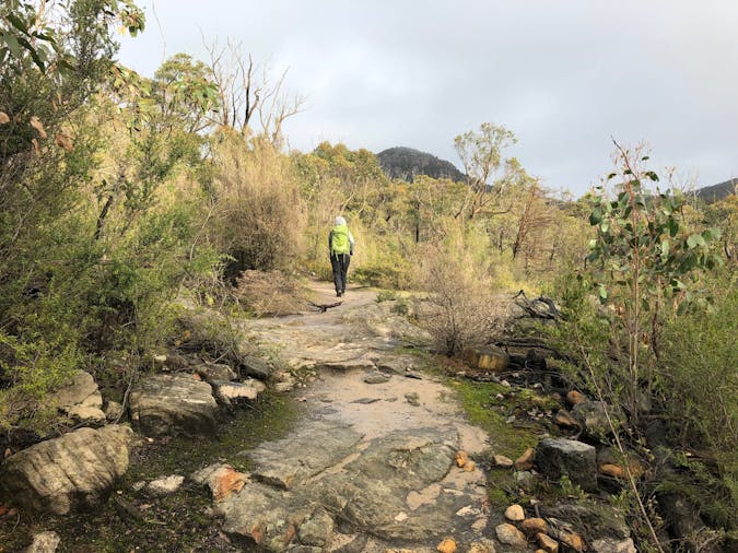 4 day trip to the Grampians Comfortable Guided Tour