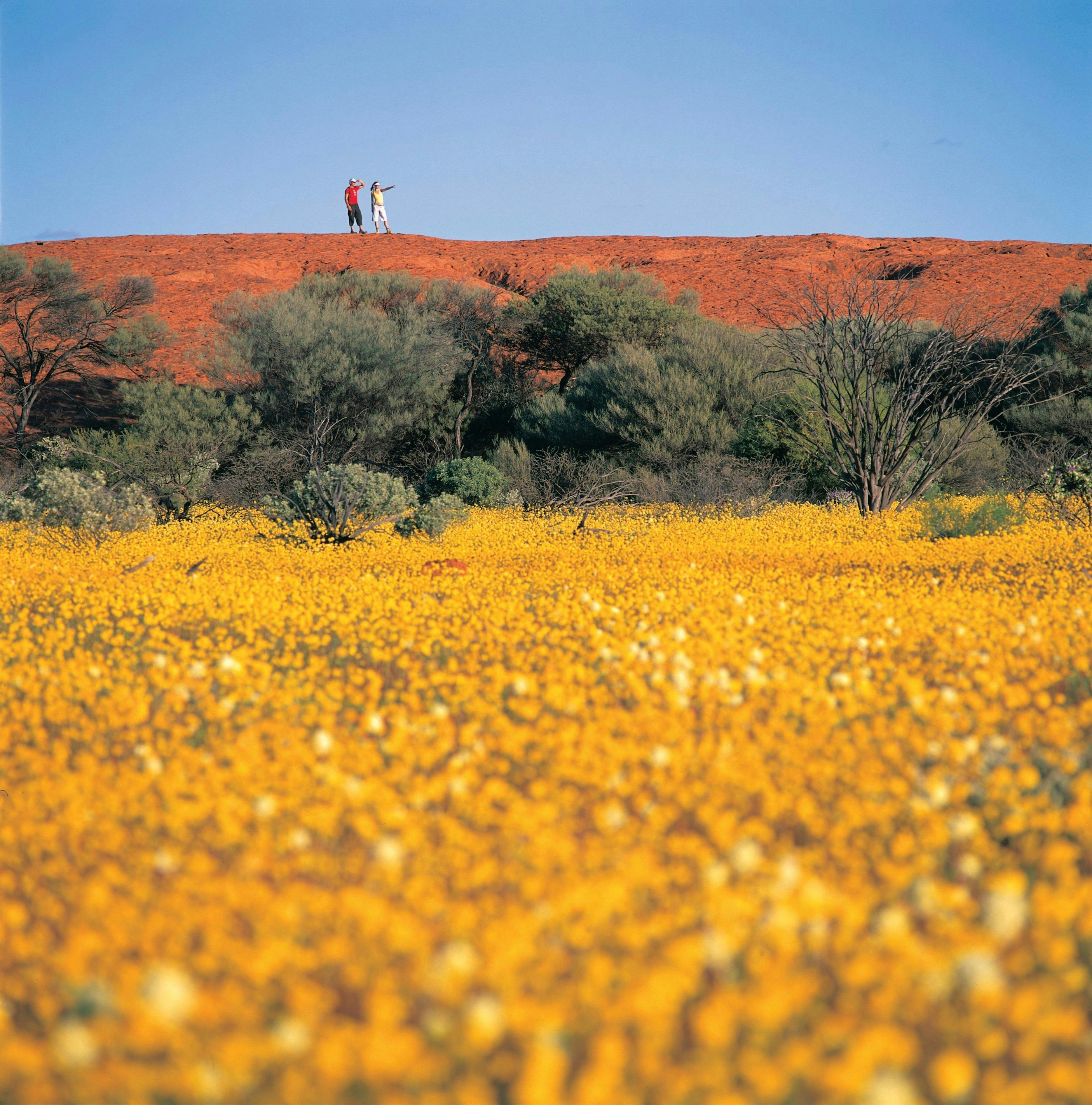 The Wool Wagon Pathway, Murchison, Western Australia