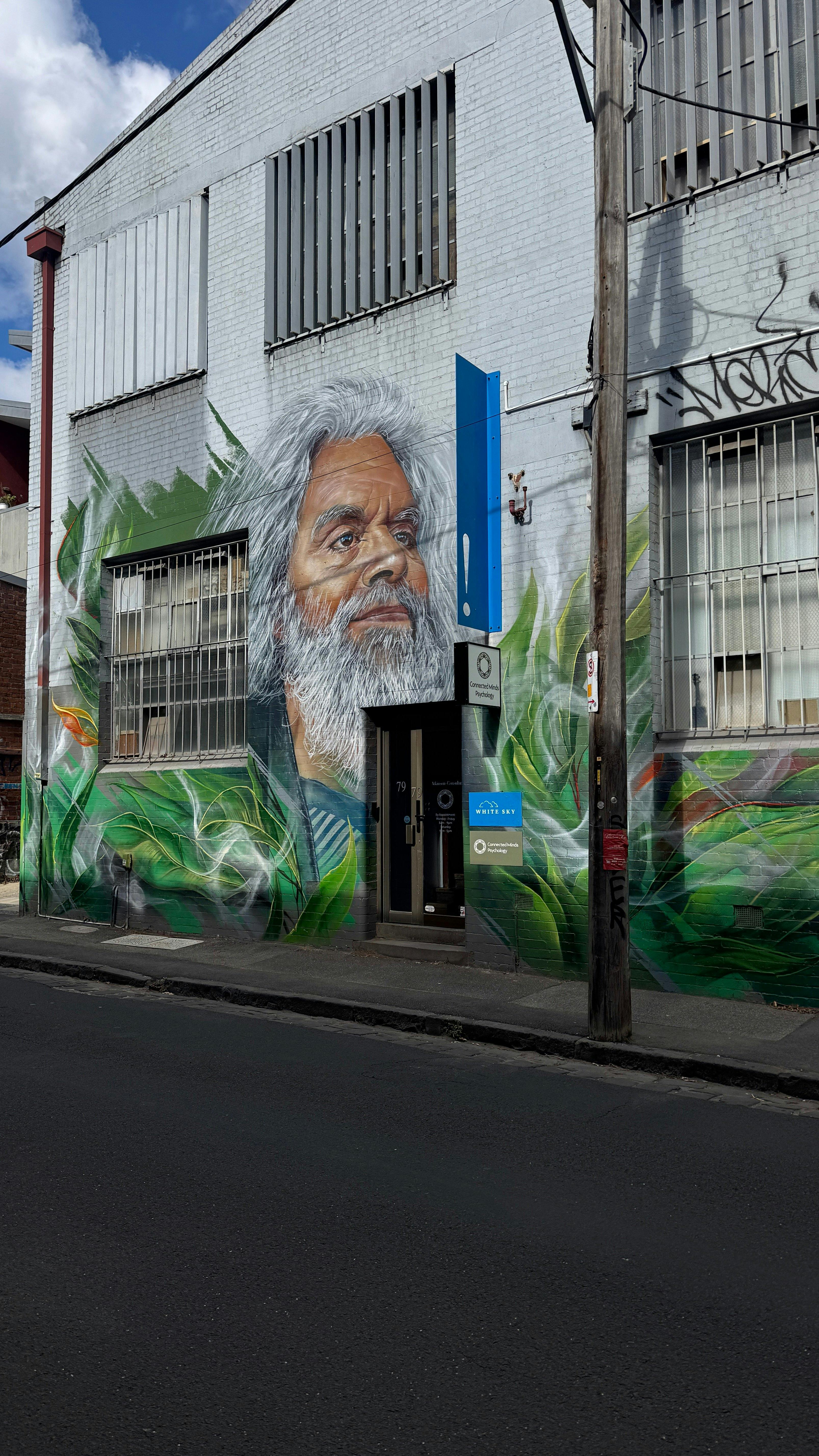 Lifelike murals in Melbourne