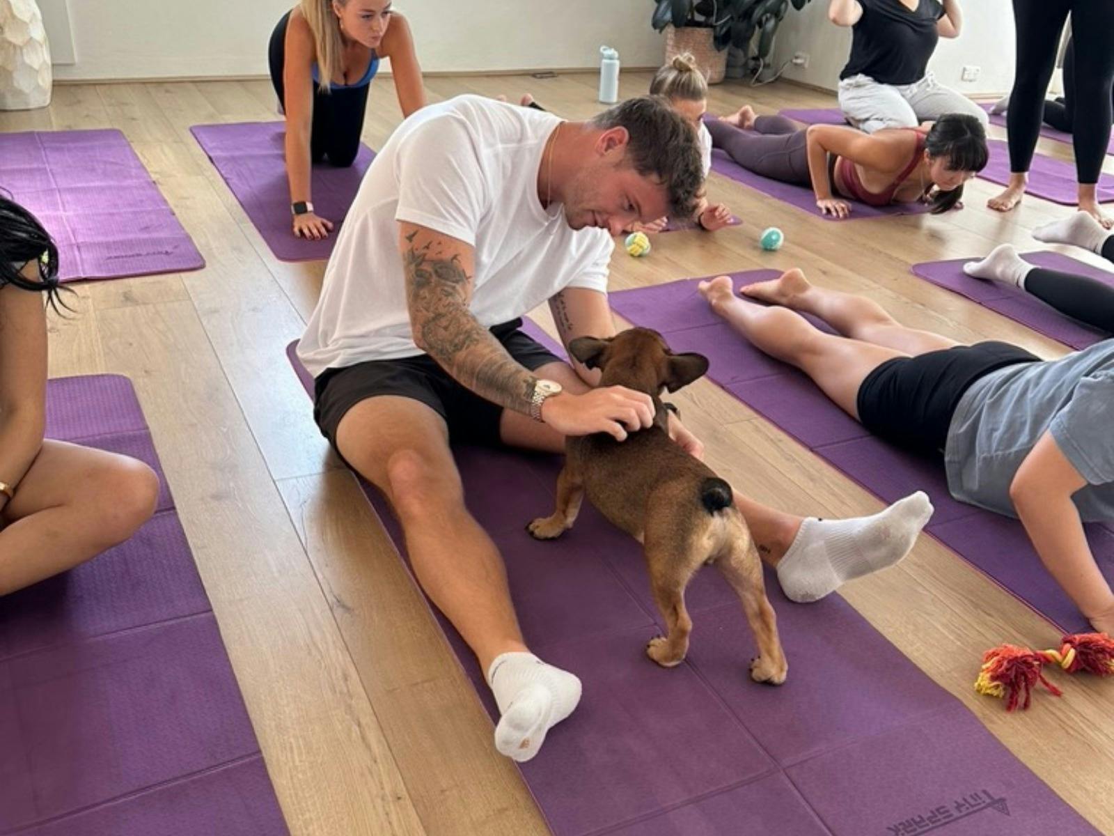 Participant patting a Frenchie at Puppy Yoga