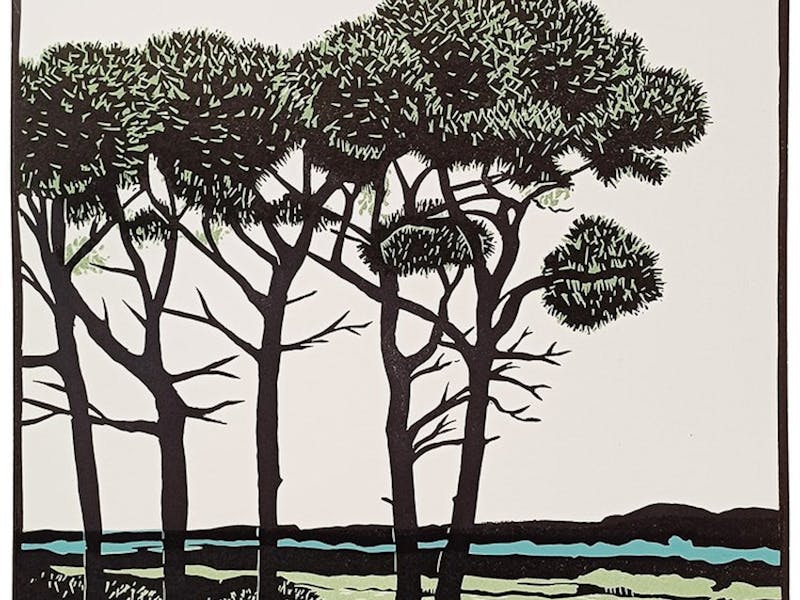 Carlton Cox Artwork - Blenheim Gallery and Garden - Maritime Pines Cressy House