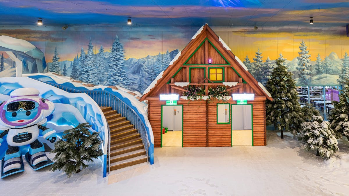 Area 51 Ipswich Snow World