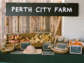 Perth City Farm - Farmer