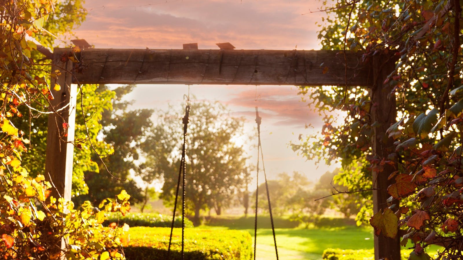 View to the west gardens, vine walkway and swing.  Glorious sunsets from this angle.