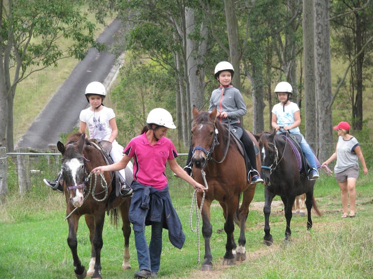 Pony rides through the trails and for tiny tots. WE have pony and horses of all sizes