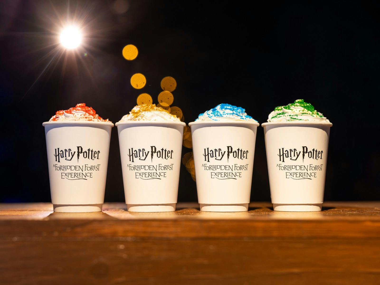 Harry Potter: A Forbidden Forest Experience