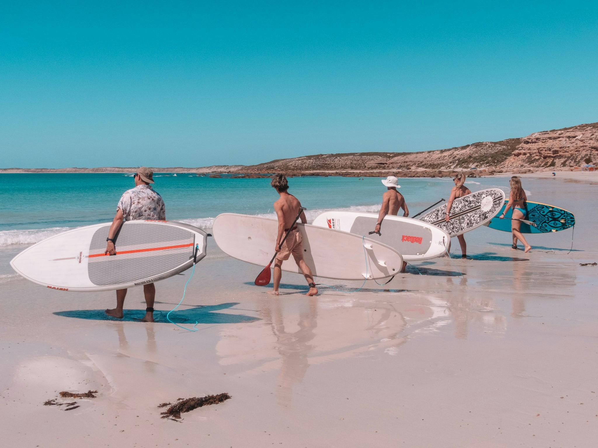 Paddleboard Hire