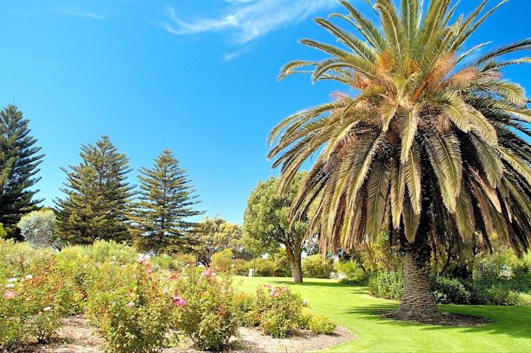 Ada Ryan Gardens