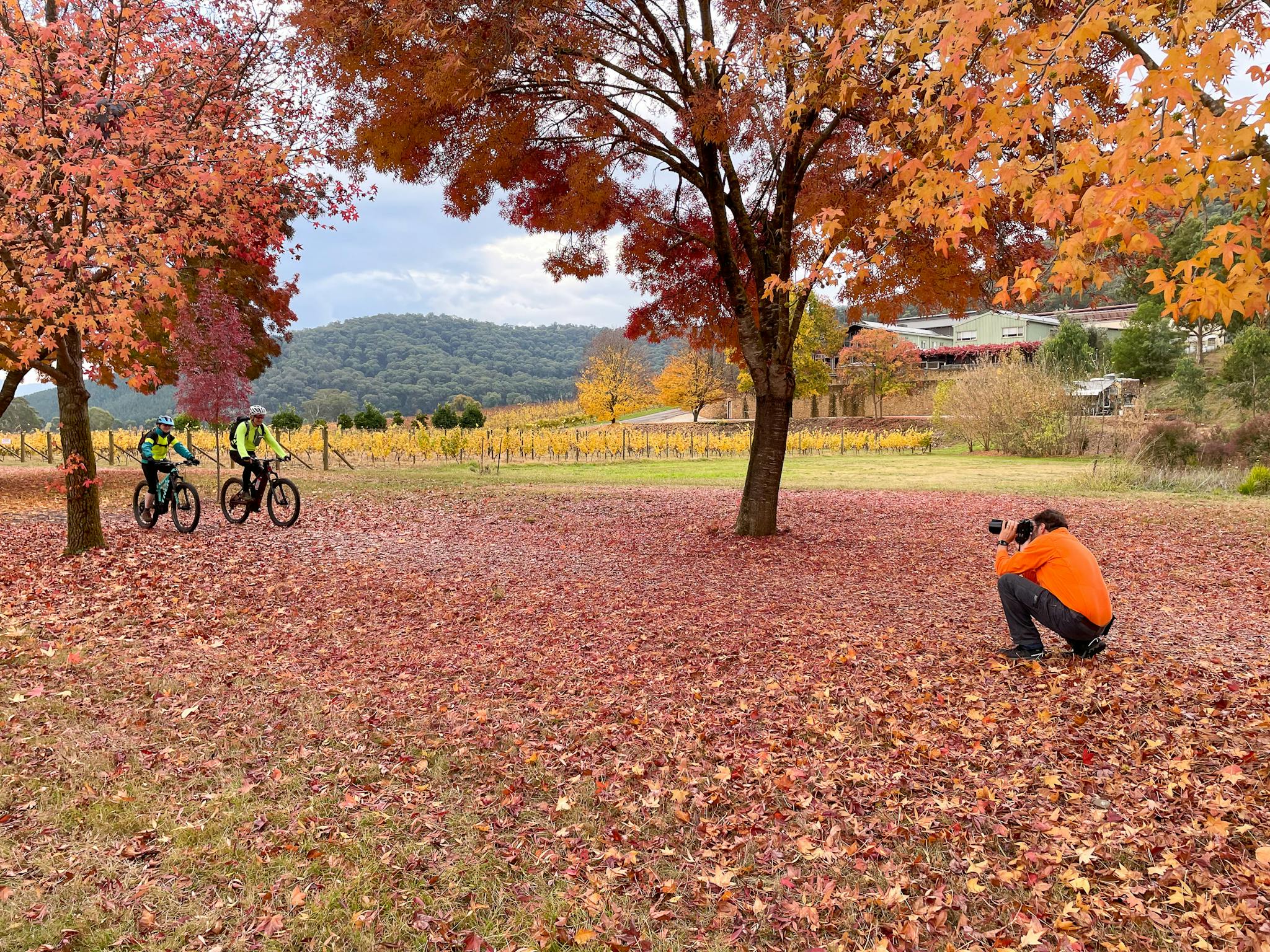 2 Guests being photographed riding over the autumn leaveshed