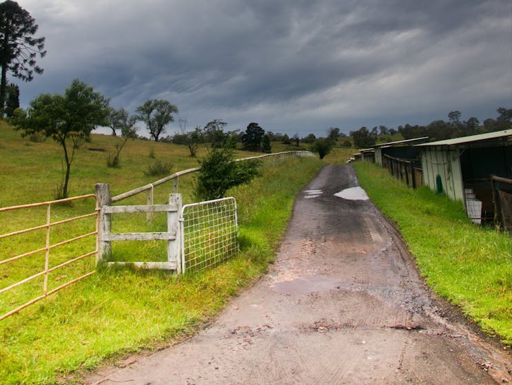 On the Farm trail - Mowbray Park Farm