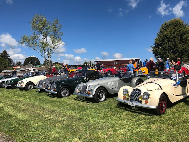 Morgans