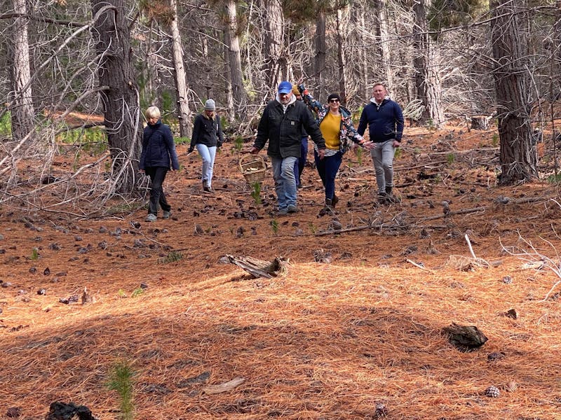 A group of happy foragers walking towards camp with a basket of food