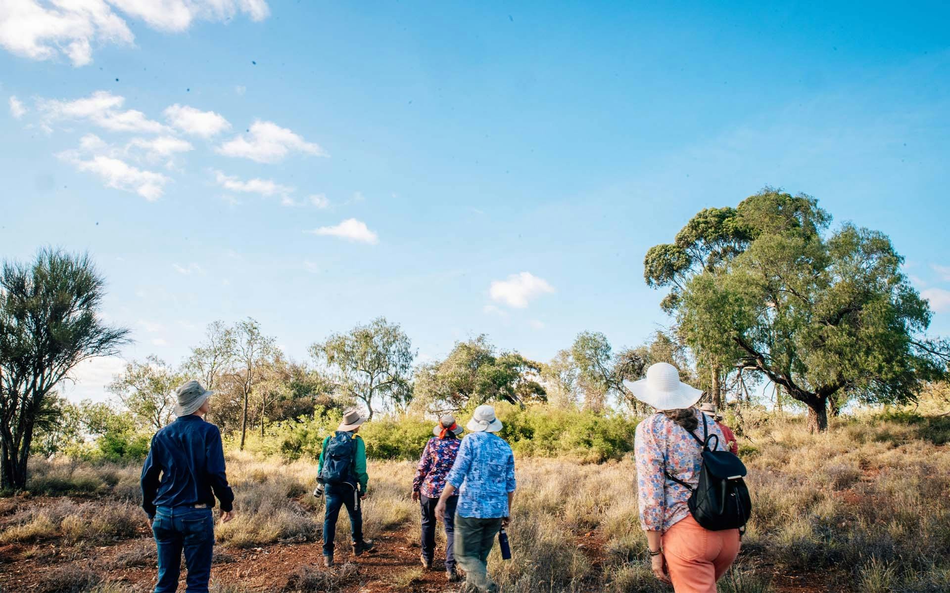 A group of people walking through an outdoor landscape