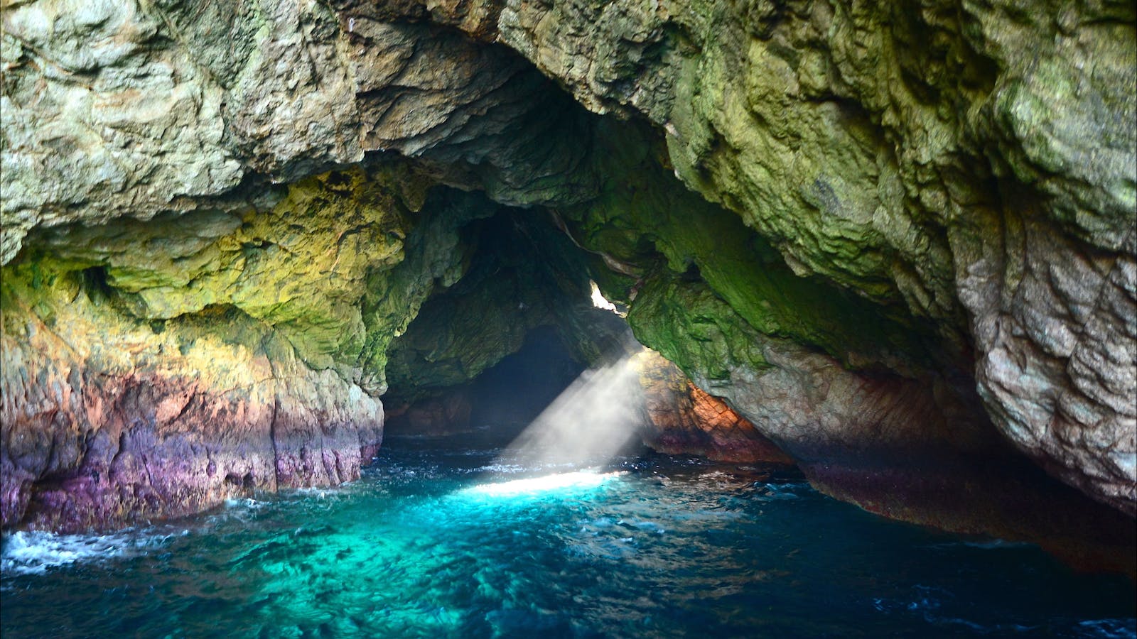 Maria Island Cruises