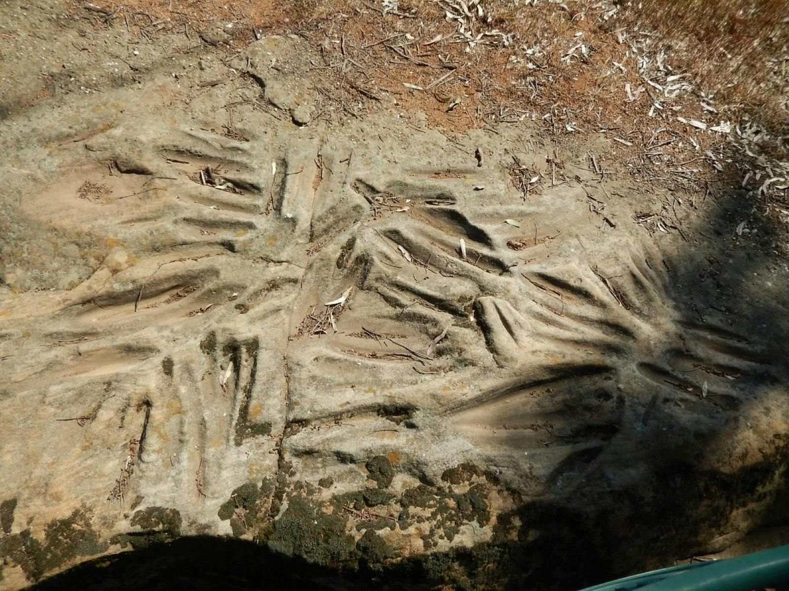 Terramungamine Rock Grooves