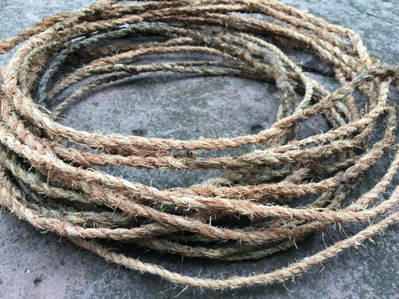 Plant Walk and String Making Workshop at the Rare Trades Centre