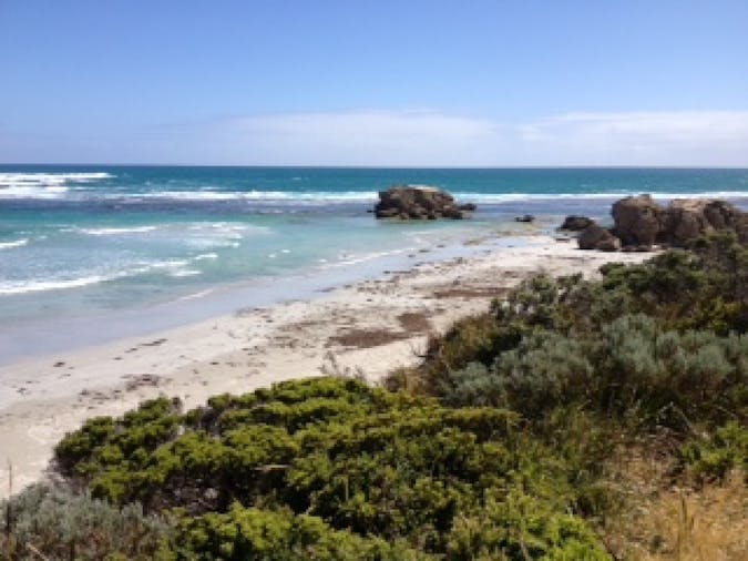 Cape Banks Campground Canunda National Park