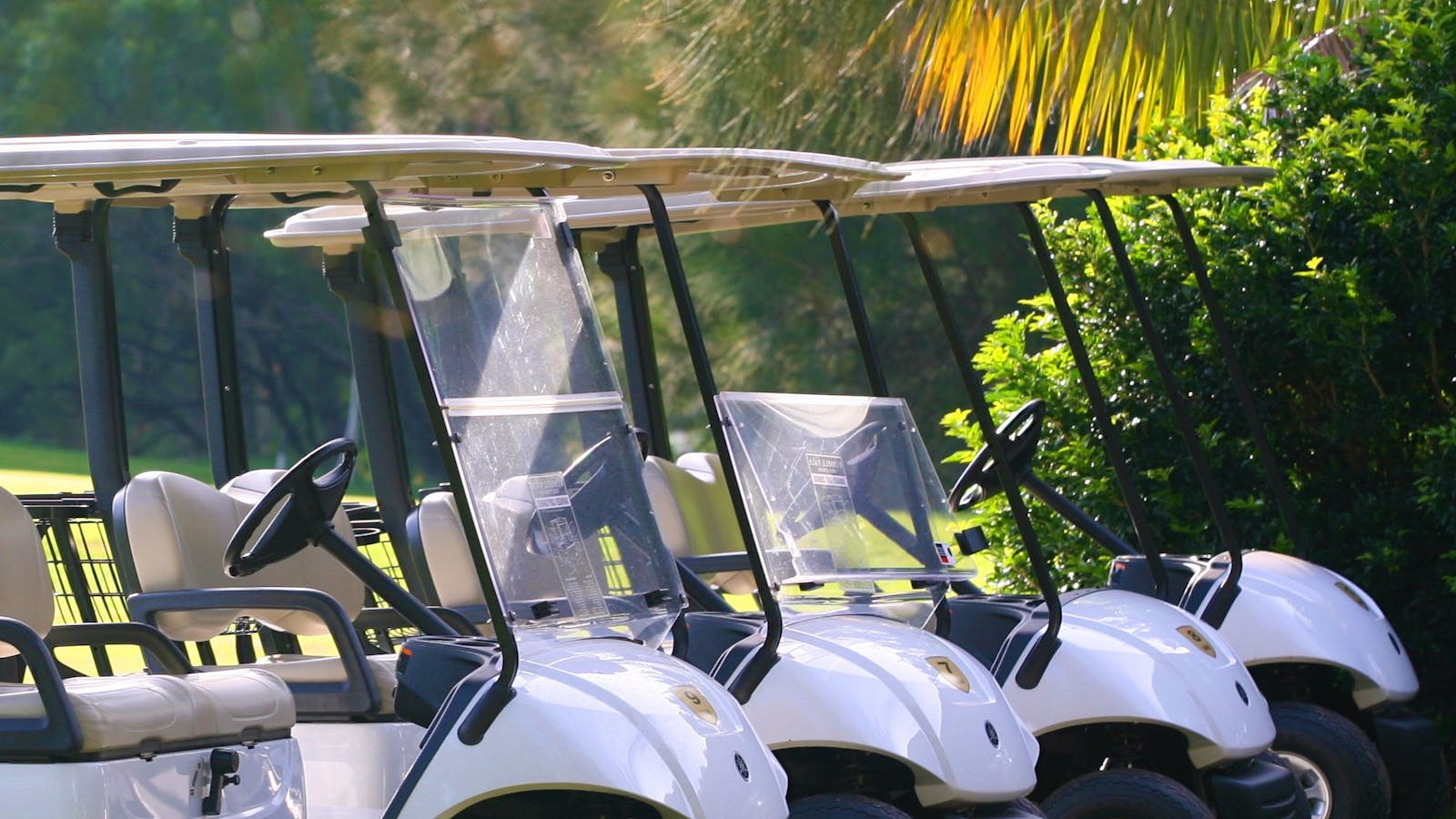 The Vale Golf Course