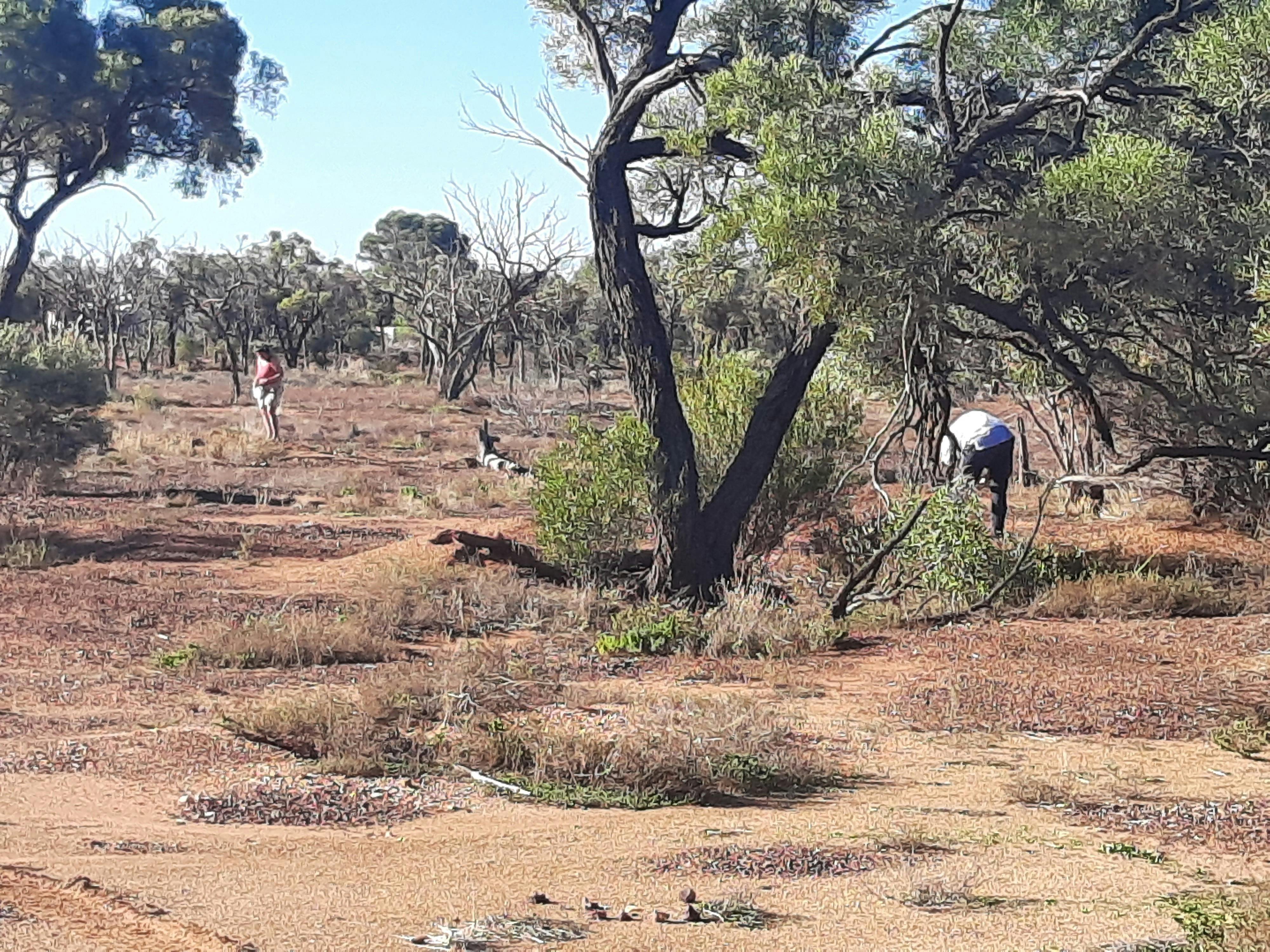 Yowah Fossicking Area