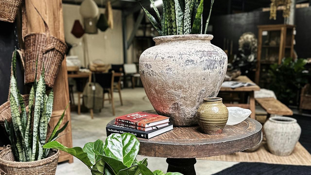 unique homewares and plants