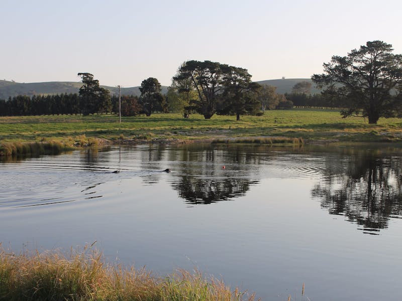 Image Result For Travel Sydney To Yass Image Result For Travel Sydney To Yass