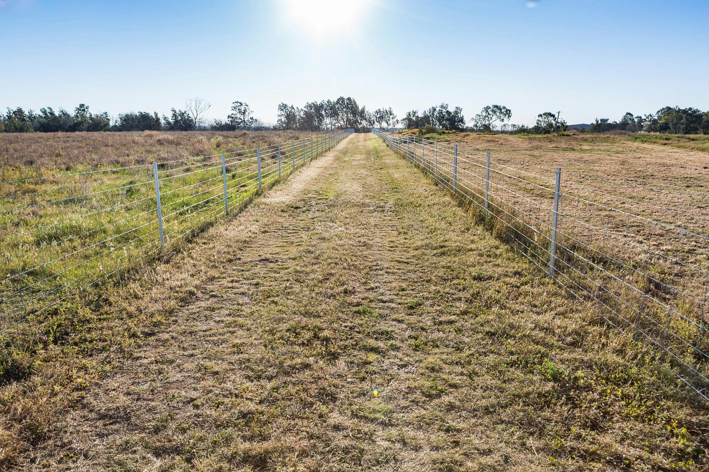 Miss Llewella Davies Pioneer Walkway