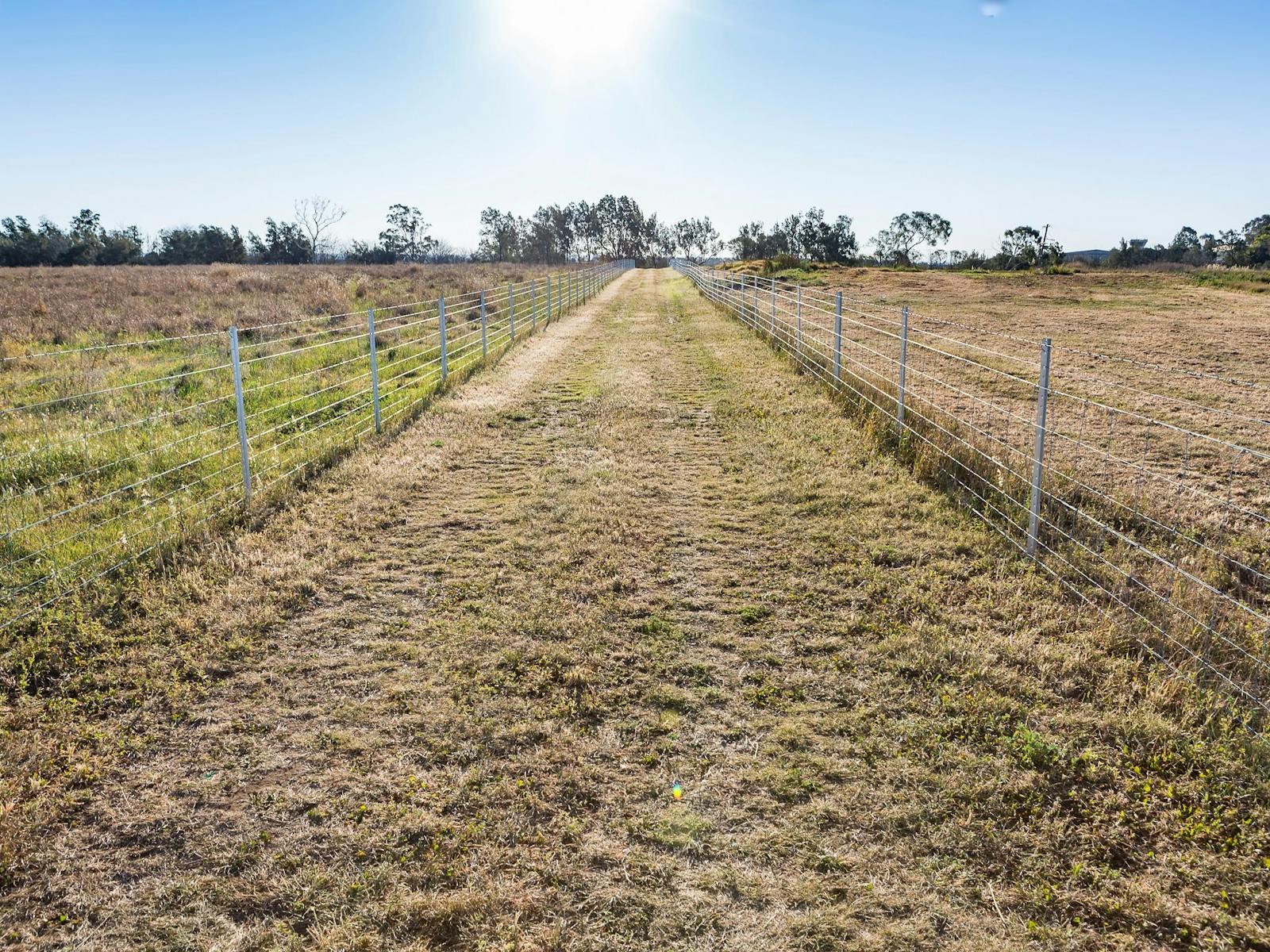 Miss Llewella Davies Pioneer Walkway