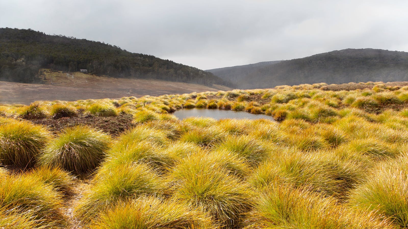 'After the Rain' Limited Edition Fine Art Photography by Emma Coombes at the Elm & the Raven