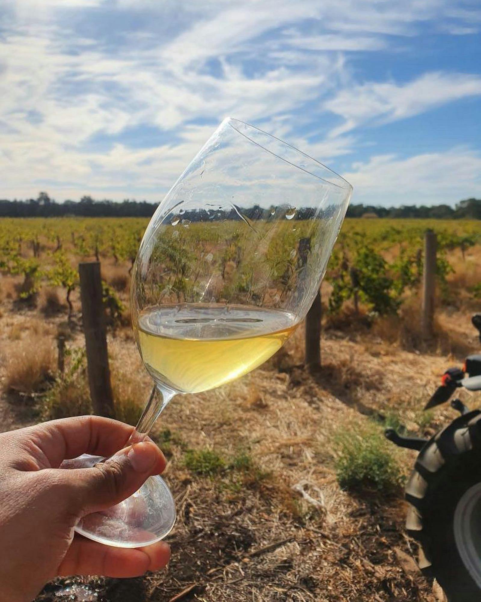Swan Valley Wines