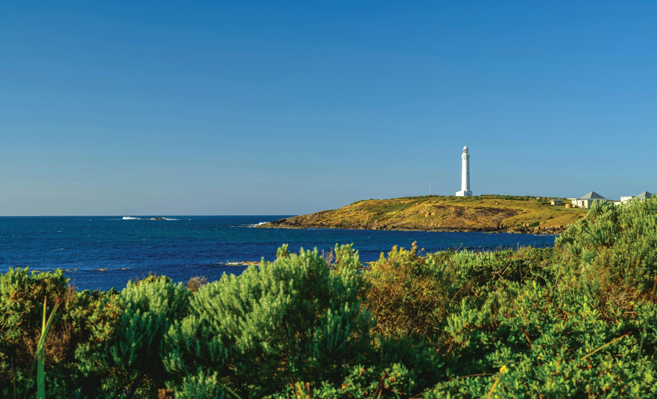 Jarrahland Wildflower Trail, Leeuwin, Western Australia