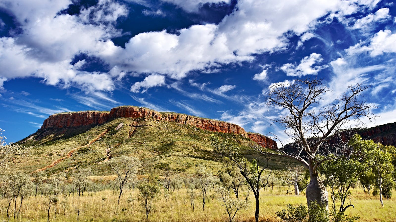 Cockburn Range