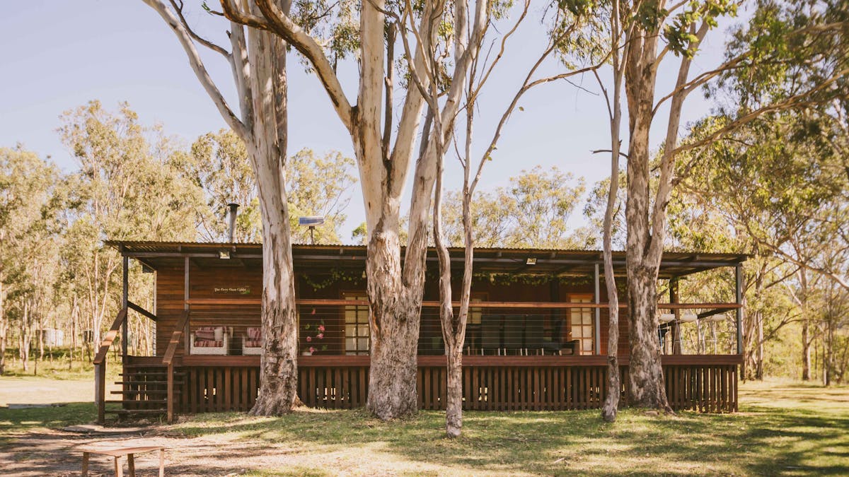 Greygums
