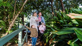 Wagga Wagga Botanic Gardens