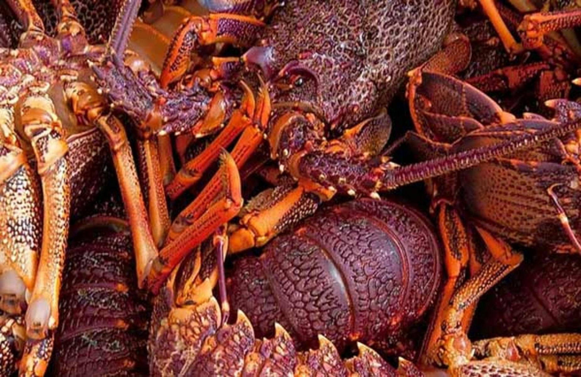 Warrnambool Where to stay, what to do and what's on in