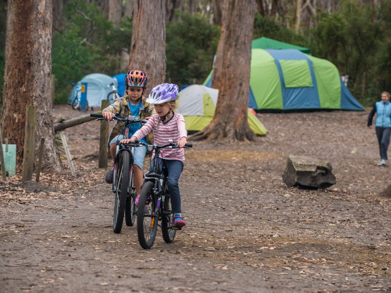 Fortescue Bay Camping