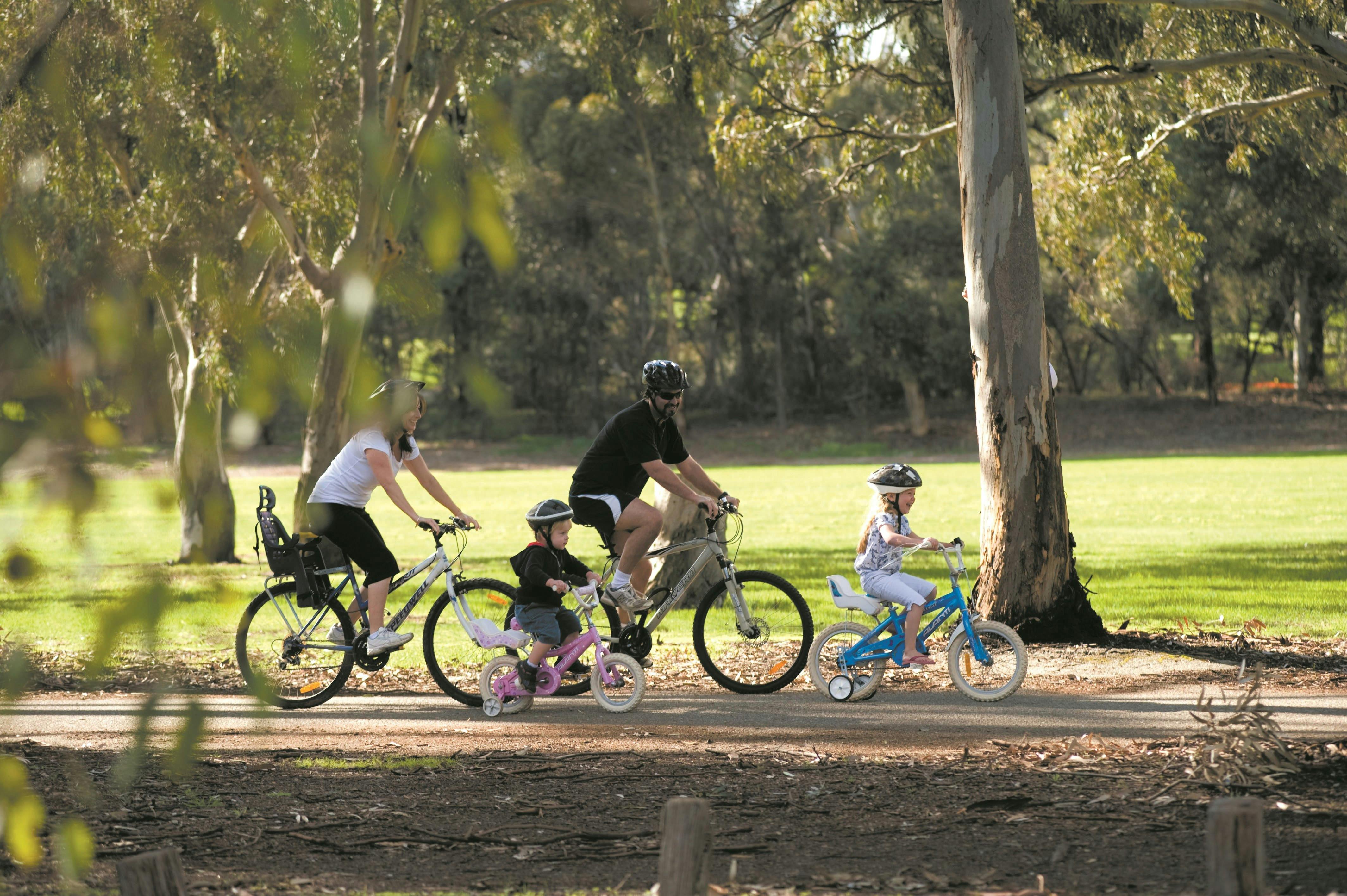 Coast to Vines Rail Trail