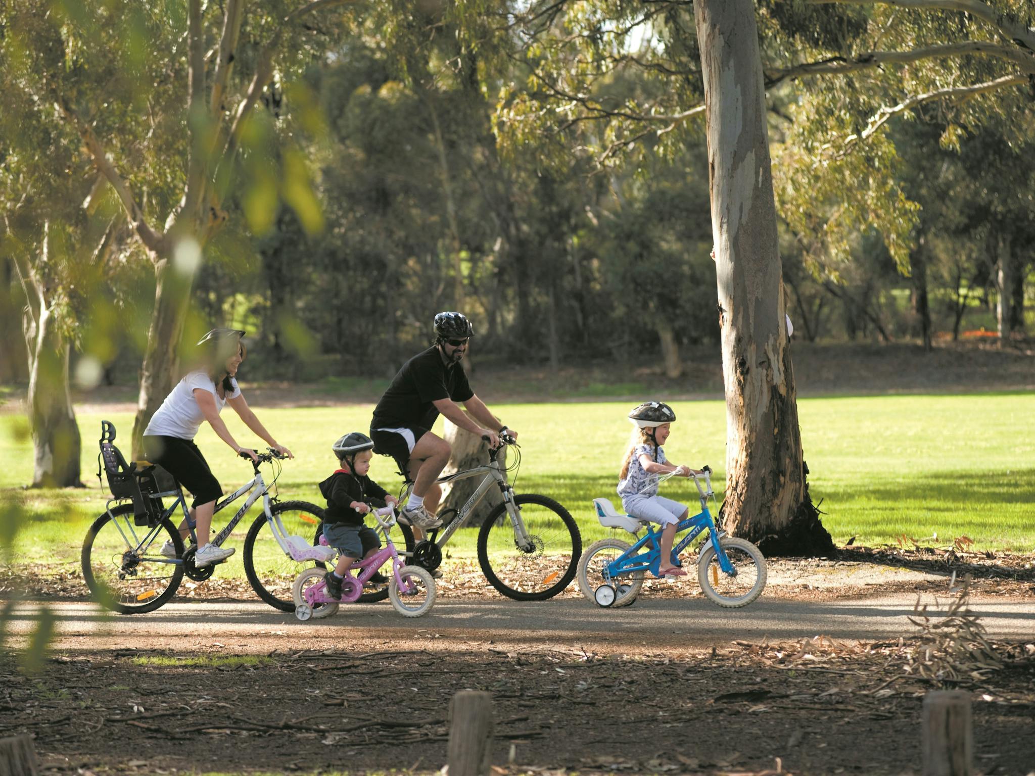 Coast to Vines Trail
