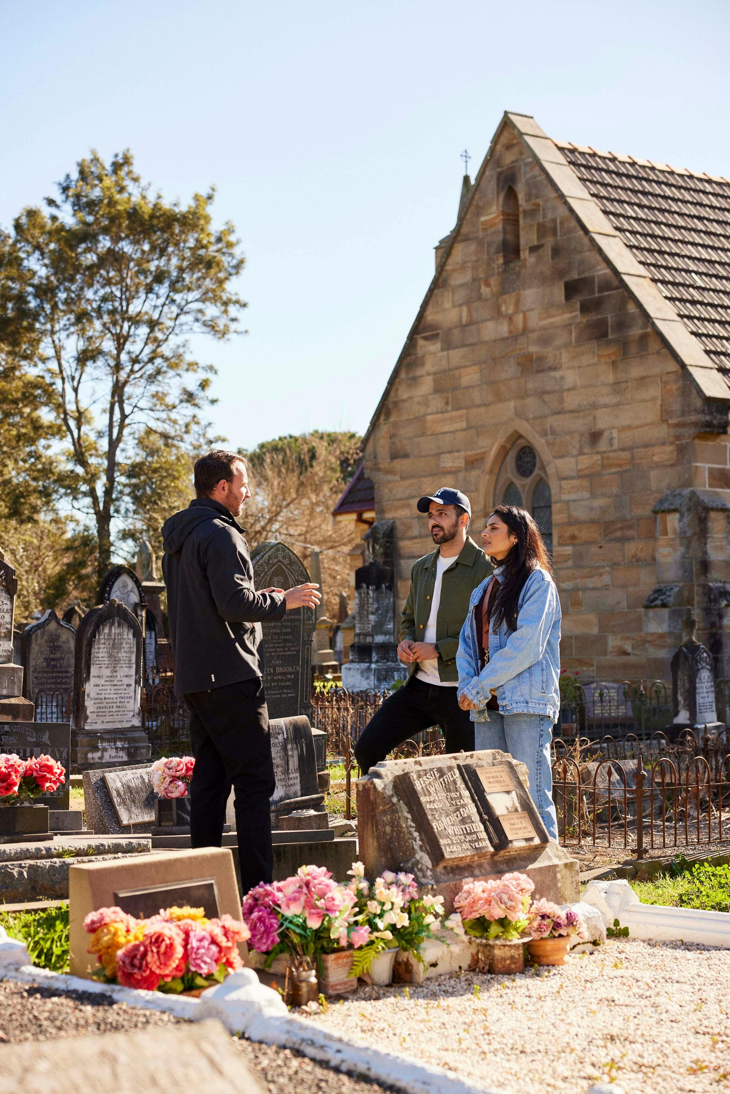 ピクトンを発見