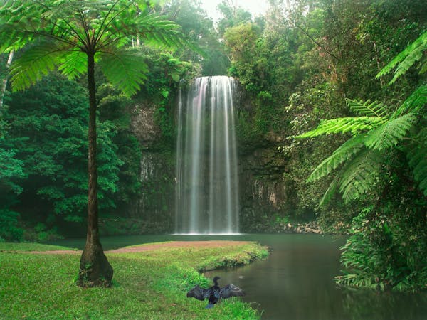 Millaa Millaa, Atherton Tablelands