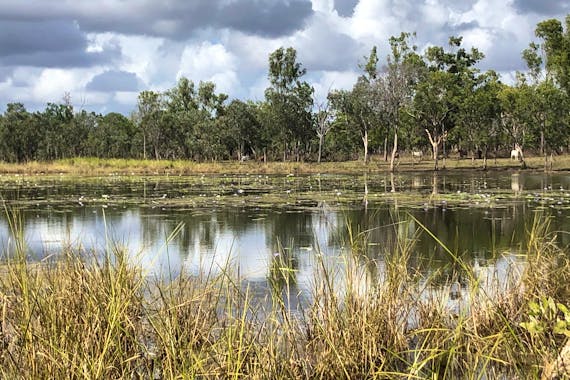 Mainoru Outstation Store