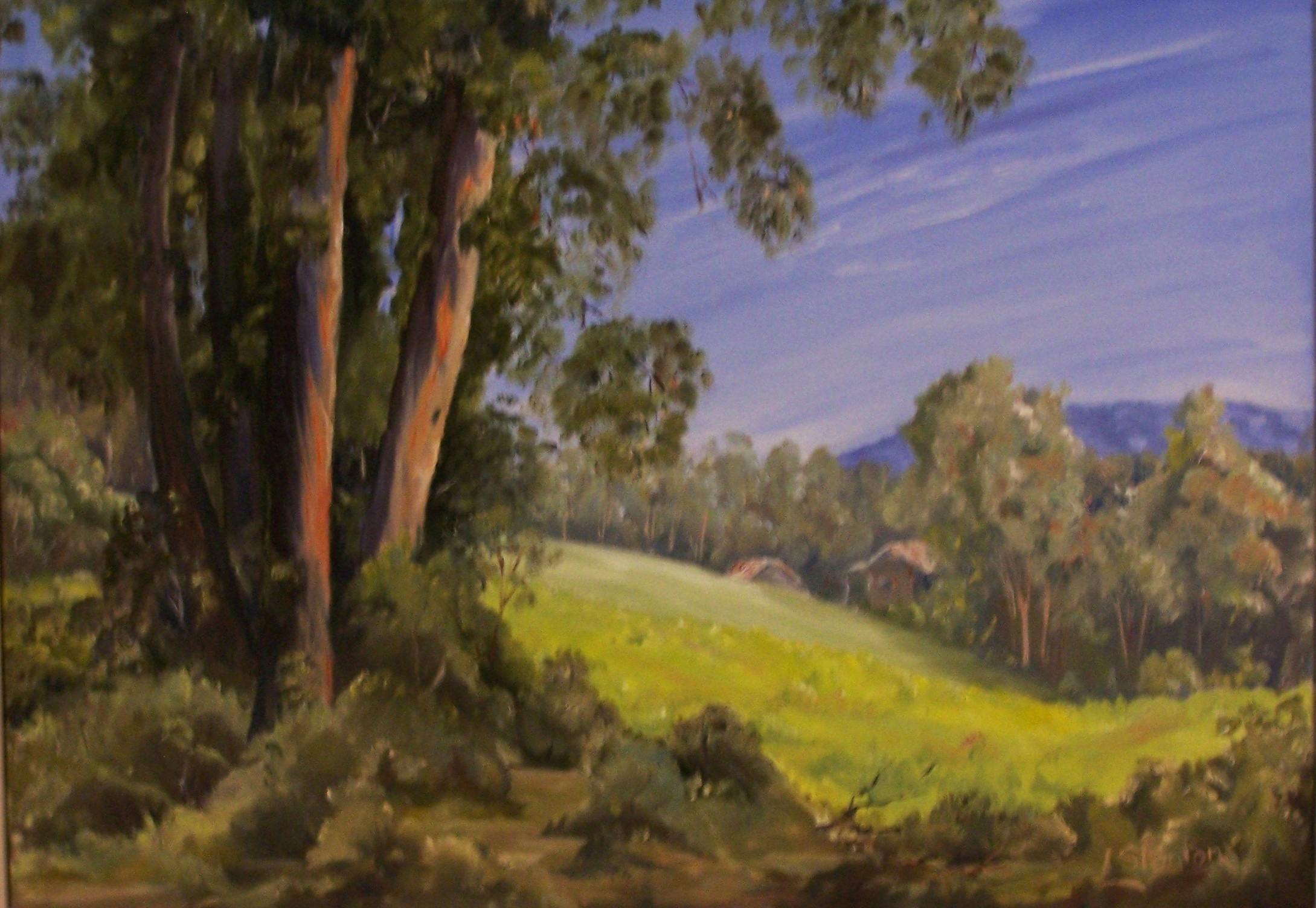Dorrigo