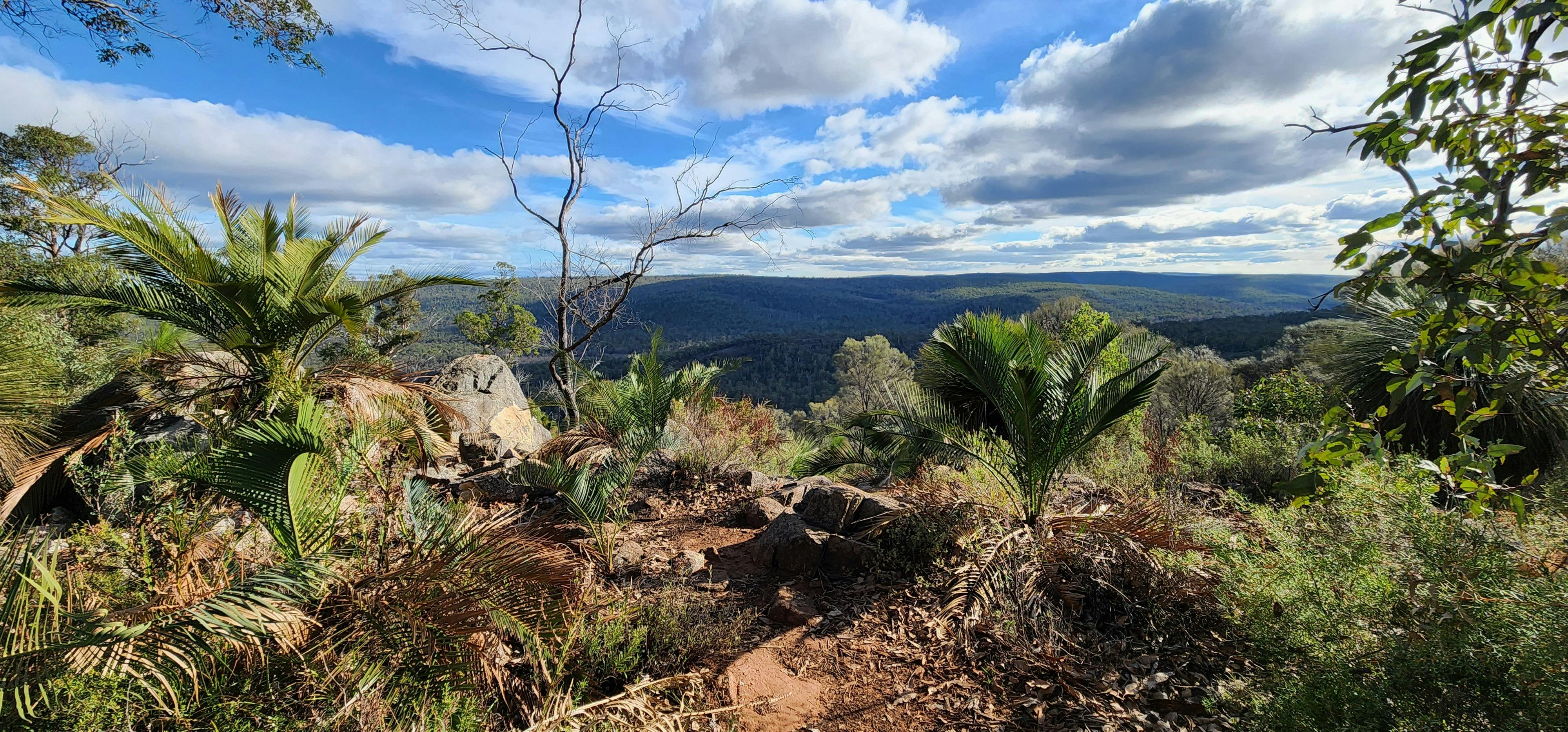 View from high up hiking trail of hills in the distance